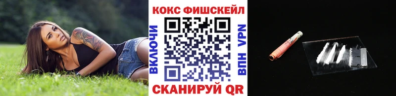 купить сайты Обнинск mega как войти Cocaine Fish Scale