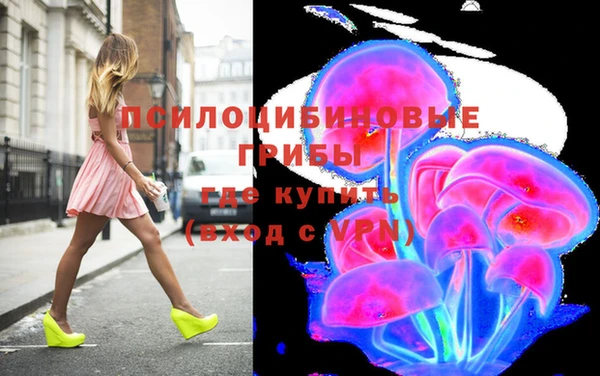 тгк Алзамай