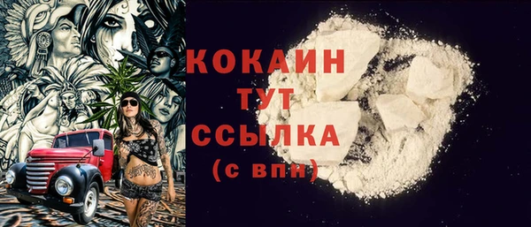 индика Лабытнанги