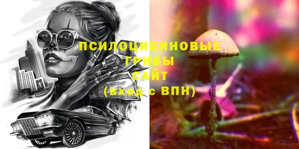 тгк Алзамай