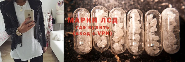 тгк Алзамай