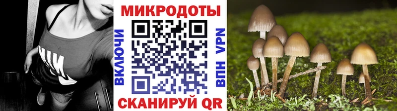 Псилоцибиновые грибы GOLDEN TEACHER  купить   Обнинск 