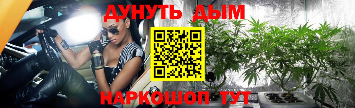 Бошки марихуана сатива  Конопля Bruce Banner  Вход с VPN  Обнинск 